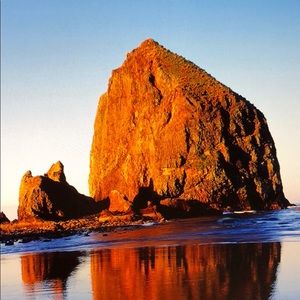 Meet your Posher, Randall